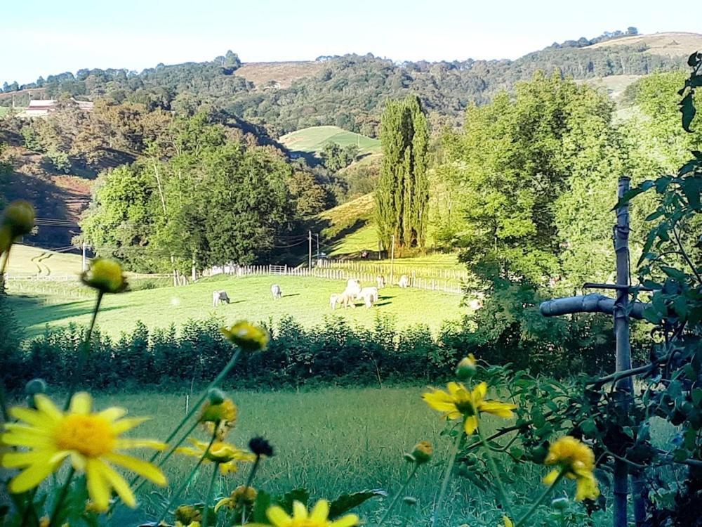"Chez Naty" Chambres D'Hotes Au Pays-Basque Cheraute Kültér fotó